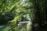 Big Sur River