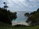 Photos/Images de Point Lobos