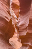 Rattlesnake Canyon