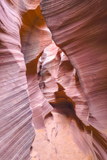 Rattlesnake Canyon