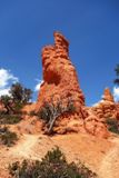Photo Trail