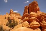 Photos/Images de Red Canyon