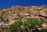 Willow Springs