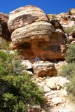 Willow Springs