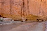 Red Top Trail
