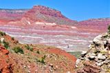 Red Top Trail