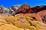 Photos/Images de Red Top