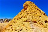 Photos/Images de Red Top