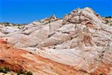 Photos/Images de Red Top