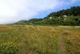 Gold Bluffs Beach