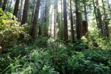 James Irvine Trail
