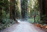 Howland Hill Road