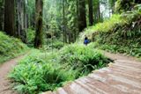Miner's Ridge Trail