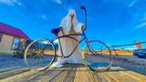 Photos/Images de Rhyolite