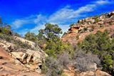Road Canyon