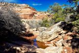 Road Canyon