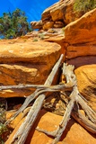 Citadel Ruin Trail
