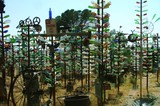 Elmer's Bottle Tree Ranch