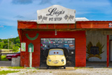 Luigi's Pit Stop