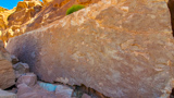 Poison Spider Dinosaur Tracks