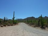 Photos/Images de Saguaro National Park