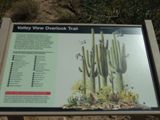 Saguaro NP