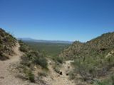 Saguaro NP