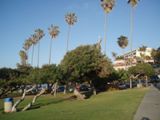 Le parc à La Jolla