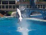Sea World