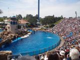 Sea World