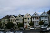 Painted Ladies
