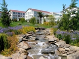 Letterman Digital & New Media Arts Center