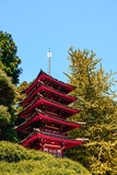 Japanese Tea Garden
