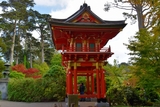 Japanese Tea Garden