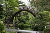 Japanese Tea Garden