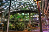 California Academy of Science