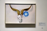 Georgia O'Keeffe Museum