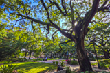 Photos/Images de Savannah Historic District
