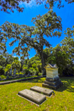 Bonaventure Cemetery