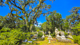 Bonaventure Cemetery