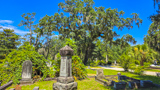 Bonaventure Cemetery