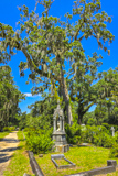 Bonaventure Cemetery