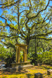 Bonaventure Cemetery