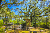 Bonaventure Cemetery