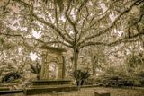 Bonaventure Cemetery