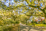 Savannah Historic District