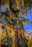 Bonaventure Cemetery