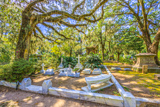 Bonaventure Cemetery