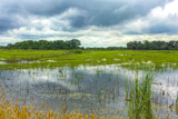 Photos/Images de Savannah National Wildlife Refuge