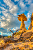 Boulder Hoodoo